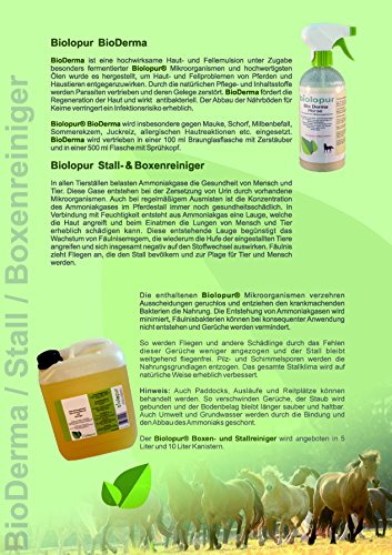 Biolopur | BioPet | Geruchsneutralisierer | Geruchsentferner - Spray | Reinigungsmittel Urin, Haustier etc. | KONZENTRAT - 
