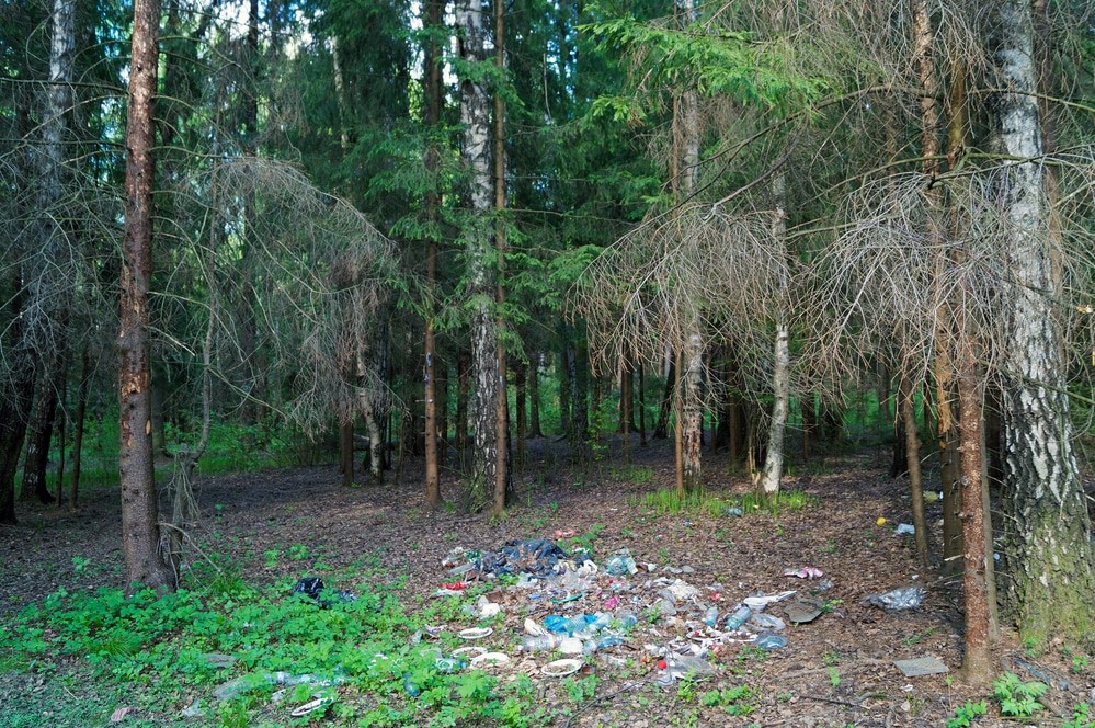 Müll im Wald
